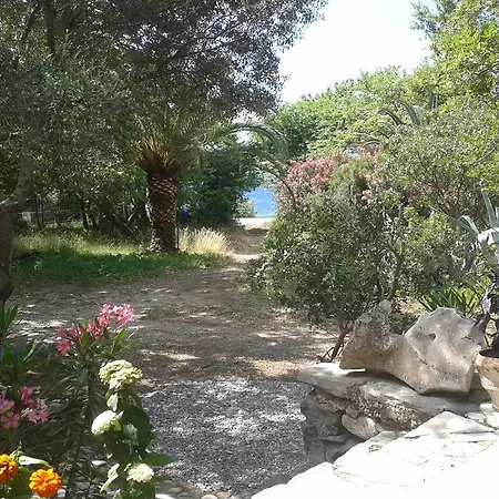 Galinotis * Skaloma