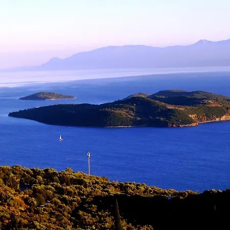 Galinotis *