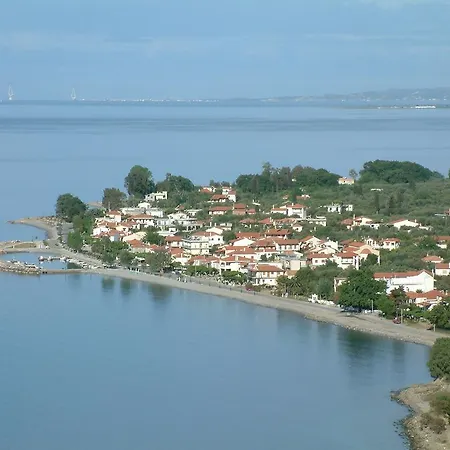 Galinotis * Skaloma