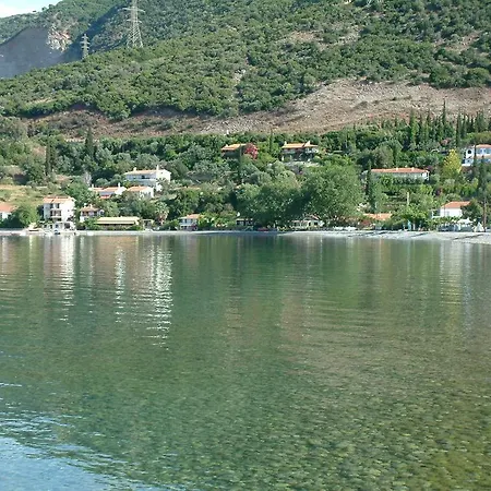 Galinotis * Skaloma